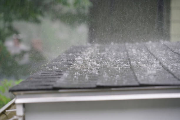 Best Emergency Roof Repair Services  in Grandville, MI