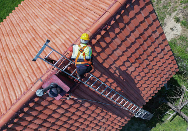 Best Sheet Metal Roofing  in Grandville, MI