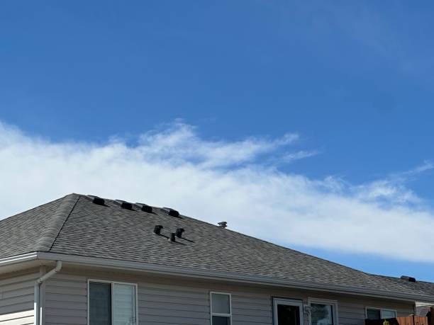Emergency Roof Repair in Grandville, MI